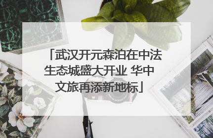 武汉开元森泊在中法生态城盛大开业 华中文旅再添新地标