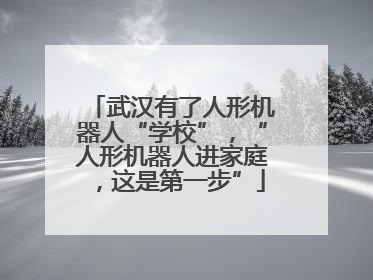 武汉有了人形机器人“学校”，“人形机器人进家庭，这是第一步”