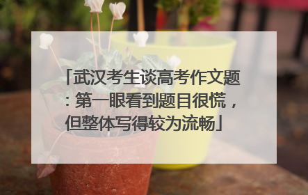 武汉考生谈高考作文题：第一眼看到题目很慌，但整体写得较为流畅