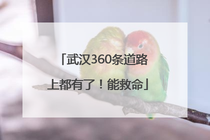 武汉360条道路上都有了！能救命