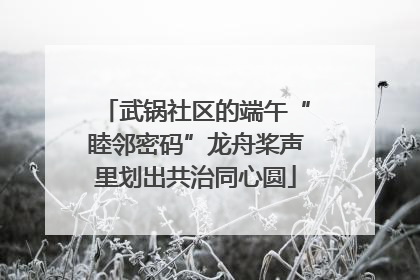 武锅社区的端午“睦邻密码”龙舟桨声里划出共治同心圆