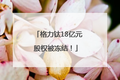 格力钛18亿元股权被冻结！