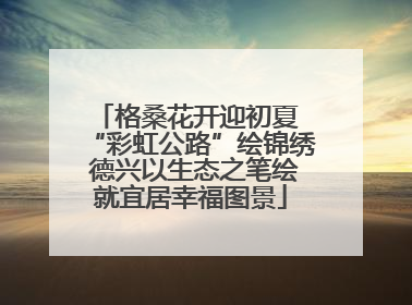 格桑花开迎初夏 “彩虹公路”绘锦绣 德兴以生态之笔绘就宜居幸福图景
