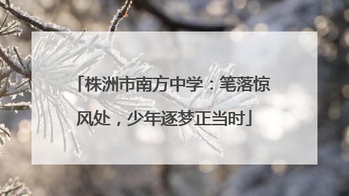 株洲市南方中学：笔落惊风处，少年逐梦正当时