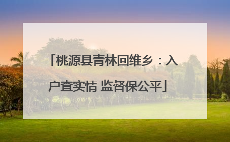 桃源县青林回维乡：入户查实情 监督保公平