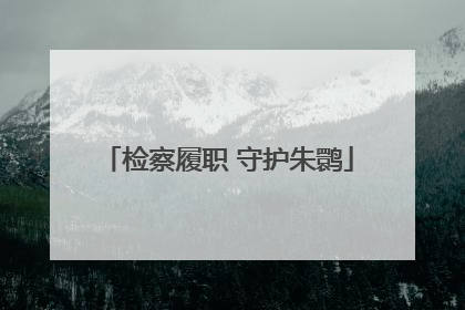 检察履职 守护朱鹮
