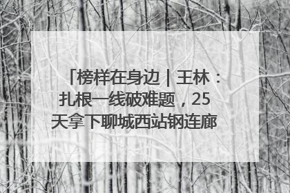 榜样在身边｜王林：扎根一线破难题，25天拿下聊城西站钢连廊“硬核”工程