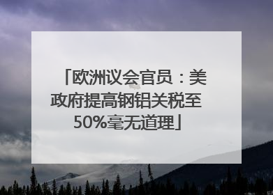 欧洲议会官员：美政府提高钢铝关税至50%毫无道理