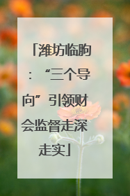 潍坊临朐：“三个导向”引领财会监督走深走实