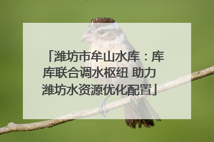 潍坊市牟山水库：库库联合调水枢纽 助力潍坊水资源优化配置