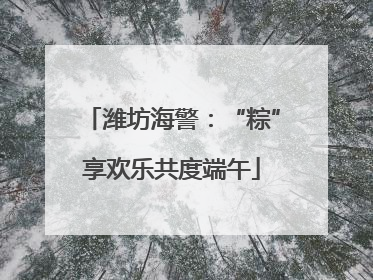 潍坊海警：“粽”享欢乐共度端午
