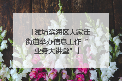 潍坊滨海区大家洼街道举办信息工作“业务大讲堂”