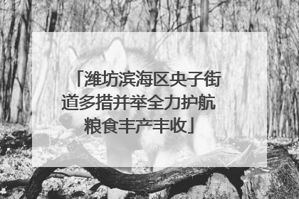 潍坊滨海区央子街道多措并举全力护航粮食丰产丰收