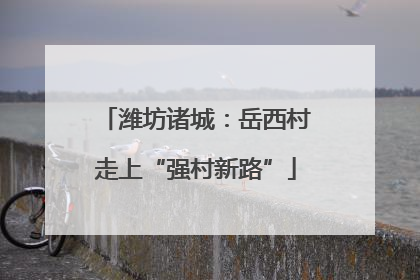 潍坊诸城：岳西村走上“强村新路”