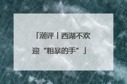 潮评丨西湖不欢迎“粗暴的手”