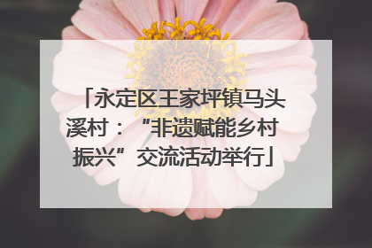 永定区王家坪镇马头溪村：“非遗赋能乡村振兴”交流活动举行