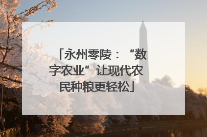 永州零陵：“数字农业”让现代农民种粮更轻松