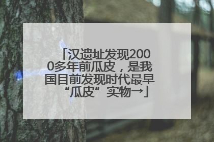汉遗址发现2000多年前瓜皮，是我国目前发现时代最早“瓜皮”实物→