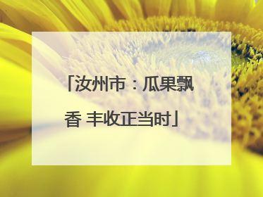 汝州市：瓜果飘香 丰收正当时