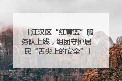 江汉区“红黄蓝”服务队上线，组团守护居民“舌尖上的安全”