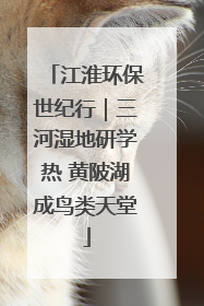 江淮环保世纪行｜三河湿地研学热 黄陂湖成鸟类天堂
