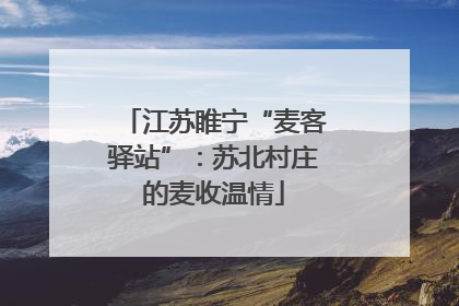 江苏睢宁“麦客驿站”：苏北村庄的麦收温情