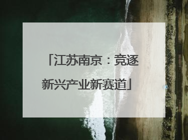 江苏南京：竞逐新兴产业新赛道