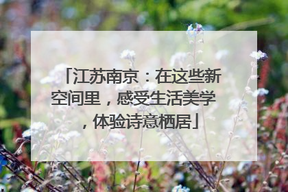 江苏南京：在这些新空间里，感受生活美学，体验诗意栖居