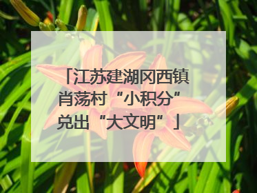 江苏建湖冈西镇肖荡村“小积分”兑出“大文明”