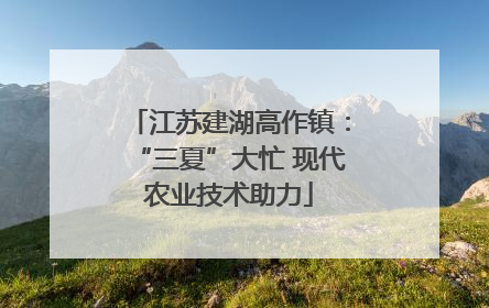 江苏建湖高作镇：“三夏”大忙 现代农业技术助力