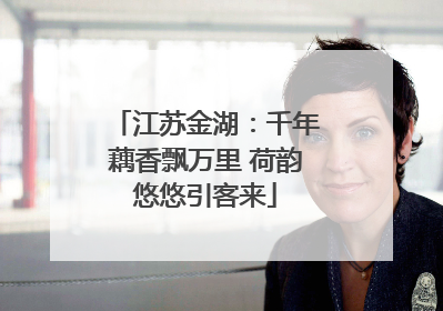 江苏金湖：千年藕香飘万里 荷韵悠悠引客来