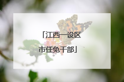江西一设区市任免干部