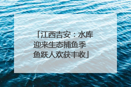 江西吉安：水库迎来生态捕鱼季 鱼跃人欢获丰收