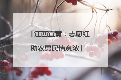 江西宜黄：志愿红助农惠民情意浓