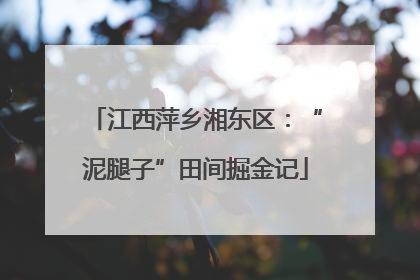 江西萍乡湘东区：“泥腿子”田间掘金记