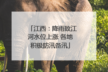 江西：降雨致江河水位上涨 各地积极防汛备汛