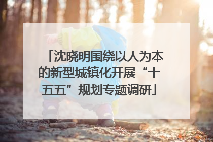沈晓明围绕以人为本的新型城镇化开展“十五五”规划专题调研