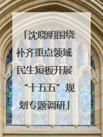 沈晓明围绕补齐重点领域民生短板开展“十五五”规划专题调研