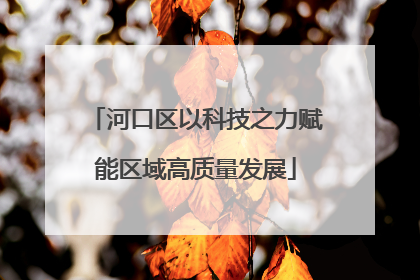 河口区以科技之力赋能区域高质量发展
