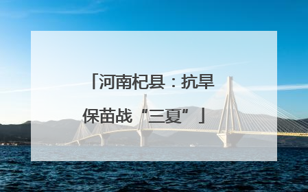 河南杞县：抗旱保苗战“三夏”
