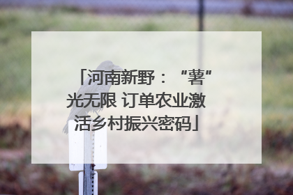 河南新野：“薯”光无限 订单农业激活乡村振兴密码
