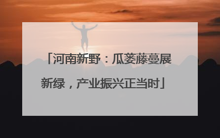 河南新野：瓜蒌藤蔓展新绿，产业振兴正当时
