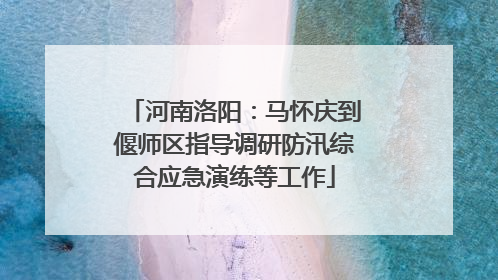 河南洛阳：马怀庆到偃师区指导调研防汛综合应急演练等工作