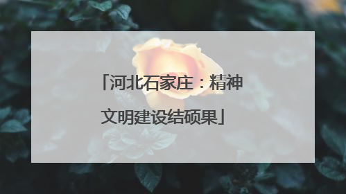 河北石家庄：精神文明建设结硕果