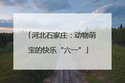 河北石家庄：动物萌宝的快乐“六一”