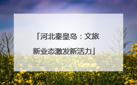 河北秦皇岛：文旅新业态激发新活力