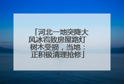 河北一地突降大风冰雹致房屋路灯树木受损，当地：正积极清理抢修