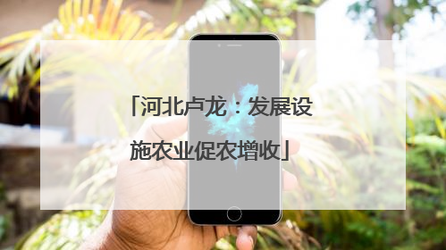河北卢龙：发展设施农业促农增收