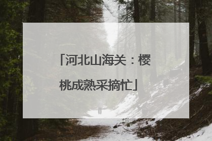 河北山海关：樱桃成熟采摘忙