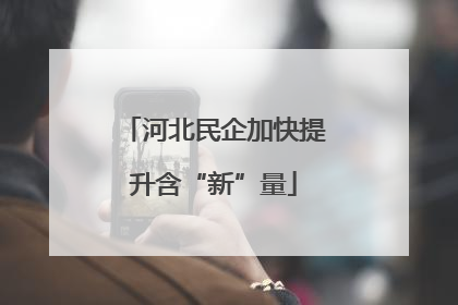 河北民企加快提升含“新”量
